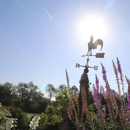 Bed & Breakfast Manoir Du Taillis *