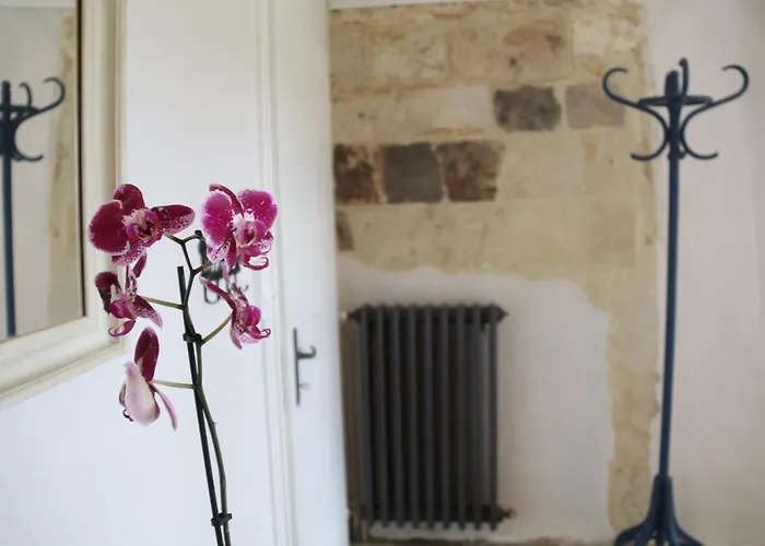 Manoir Du Taillis Bed and Breakfast Heugon