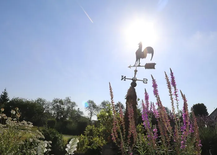 Bed and Breakfast Manoir Du Taillis 3*